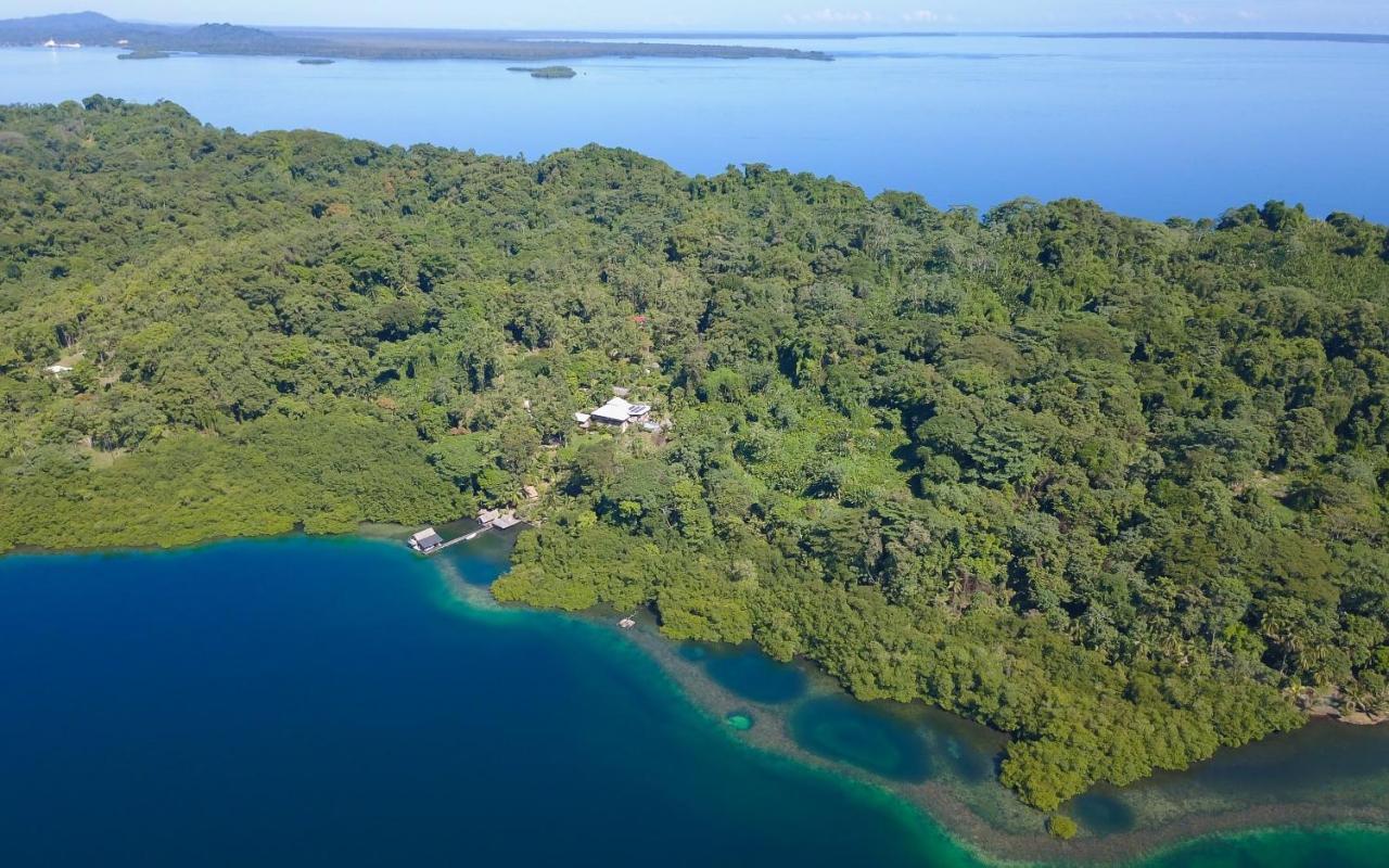 Finca Vela Lodge Bocas Town Dış mekan fotoğraf