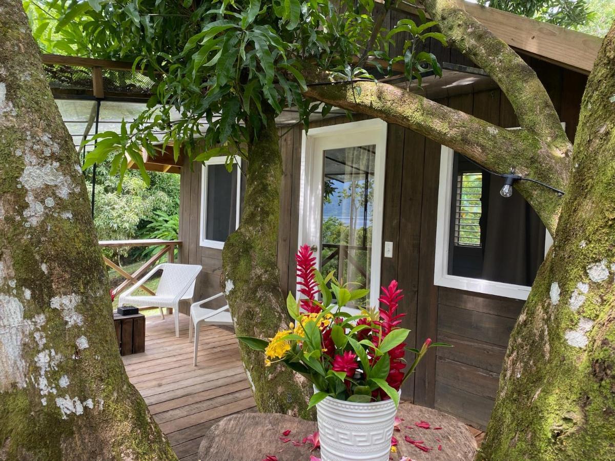 Finca Vela Lodge Bocas Town Dış mekan fotoğraf