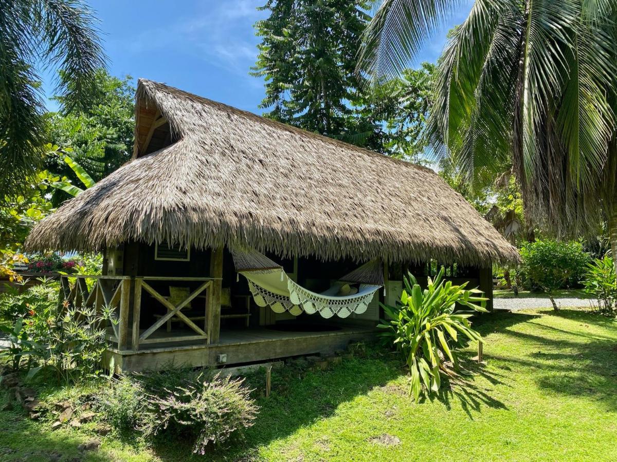 Finca Vela Lodge Bocas Town Dış mekan fotoğraf