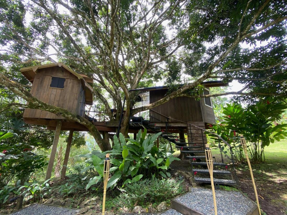 Finca Vela Lodge Bocas Town Dış mekan fotoğraf