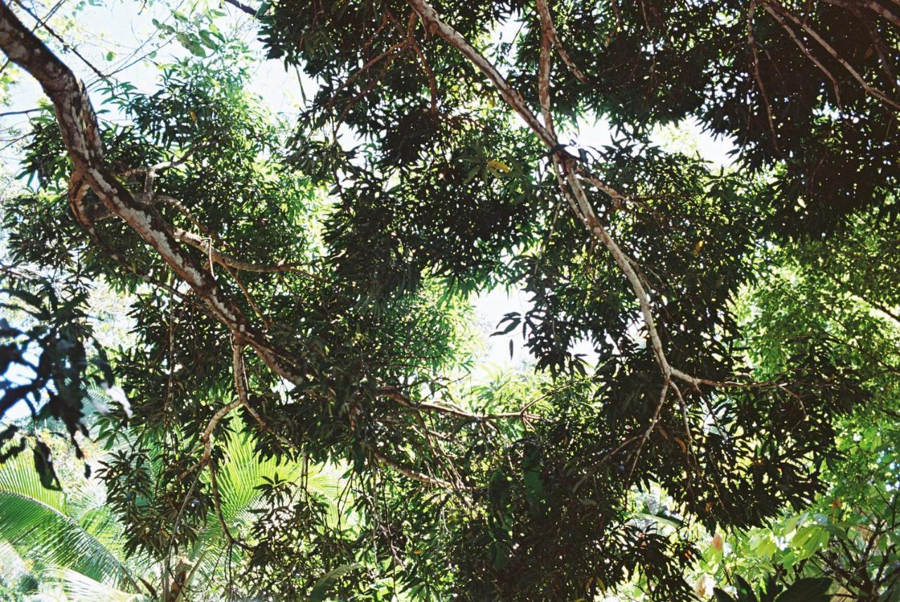 Finca Vela Lodge Bocas Town Dış mekan fotoğraf