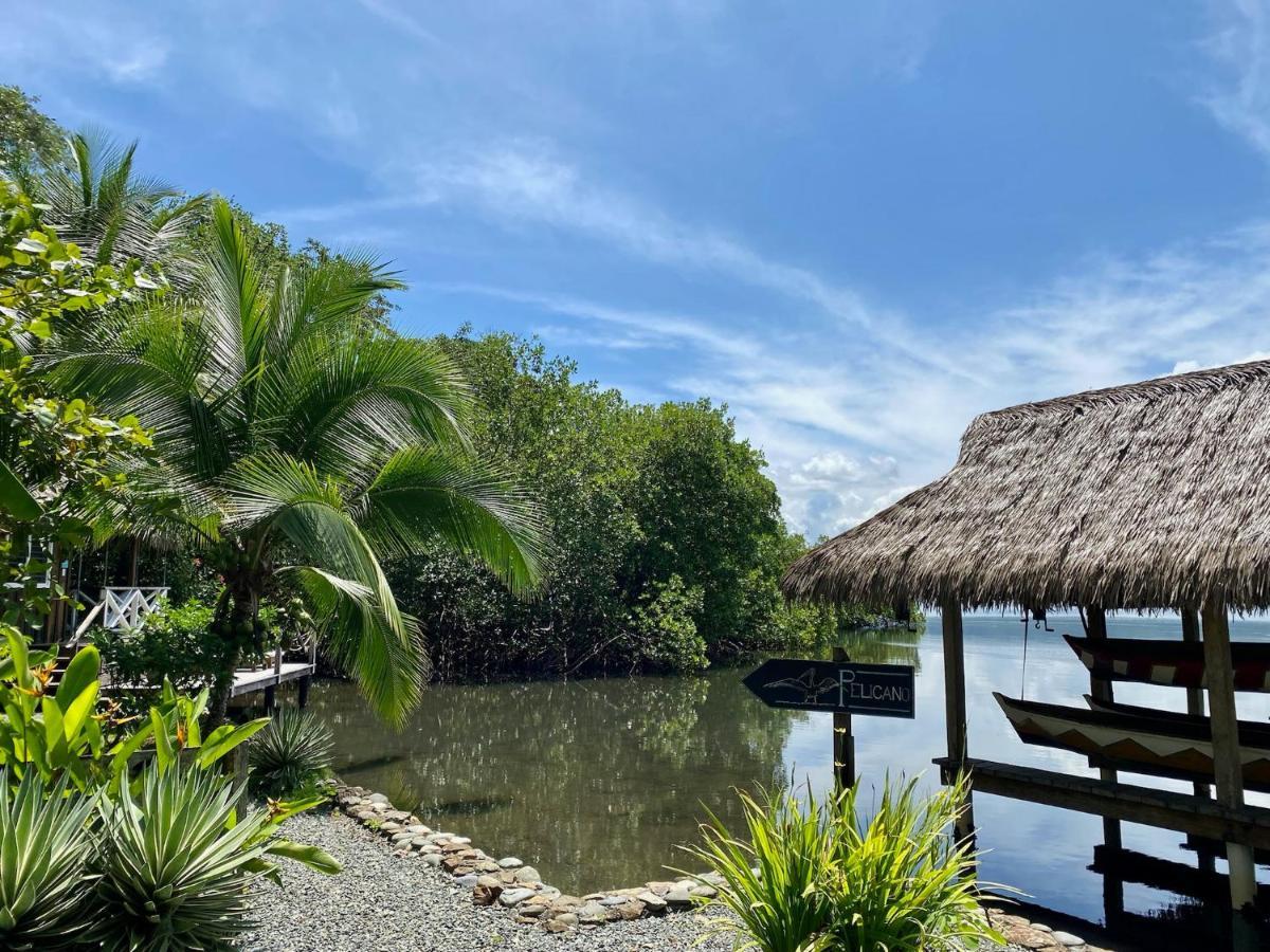 Finca Vela Lodge Bocas Town Dış mekan fotoğraf