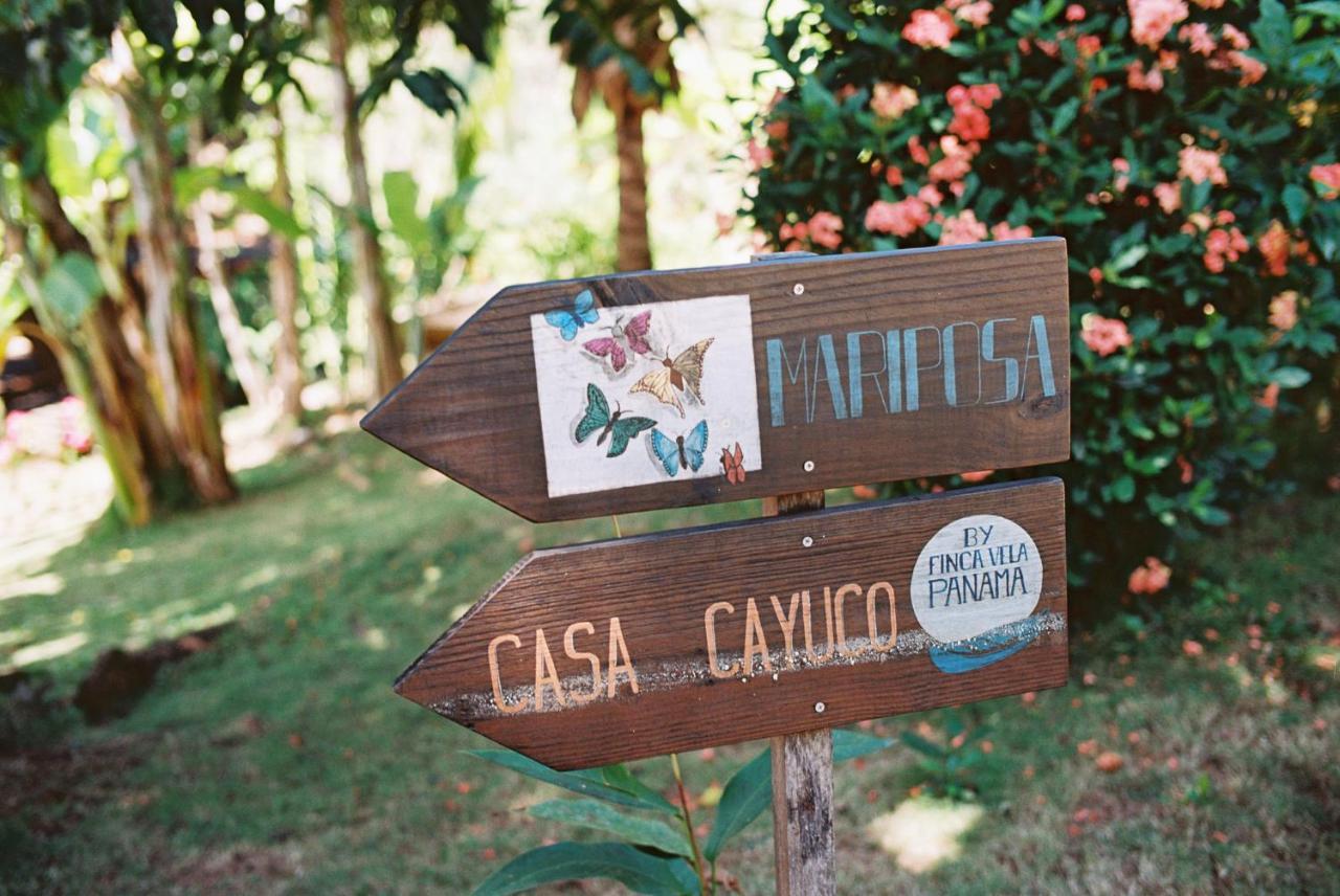 Finca Vela Lodge Bocas Town Dış mekan fotoğraf