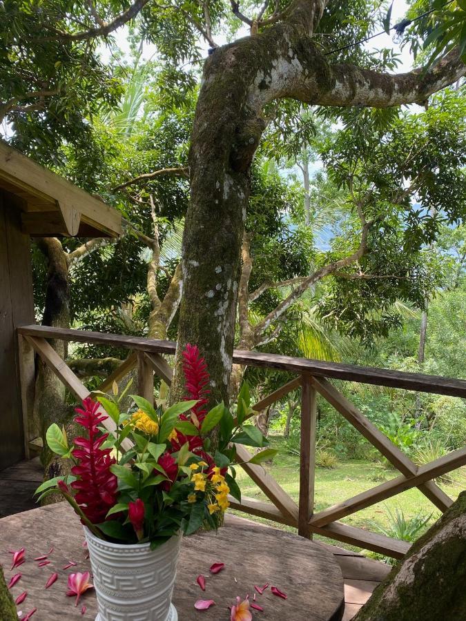 Finca Vela Lodge Bocas Town Dış mekan fotoğraf