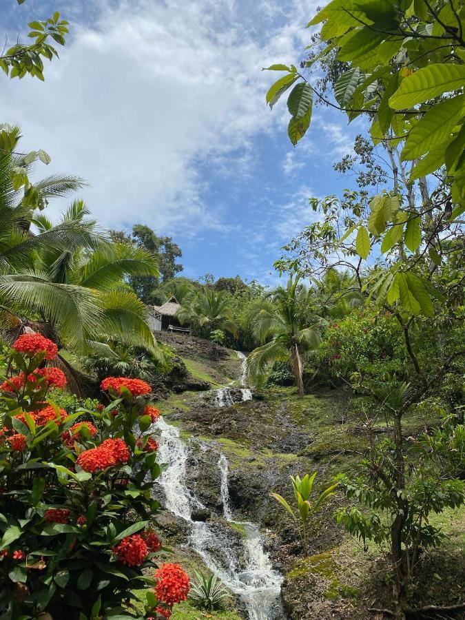Finca Vela Lodge Bocas Town Dış mekan fotoğraf