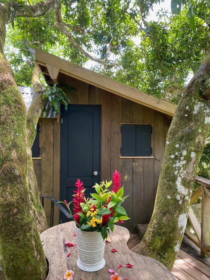 Finca Vela Lodge Bocas Town Dış mekan fotoğraf