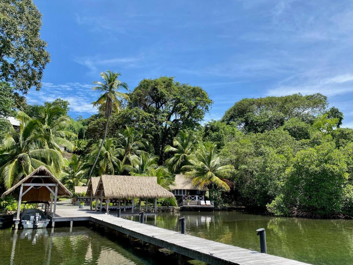 Finca Vela Lodge Bocas Town Dış mekan fotoğraf