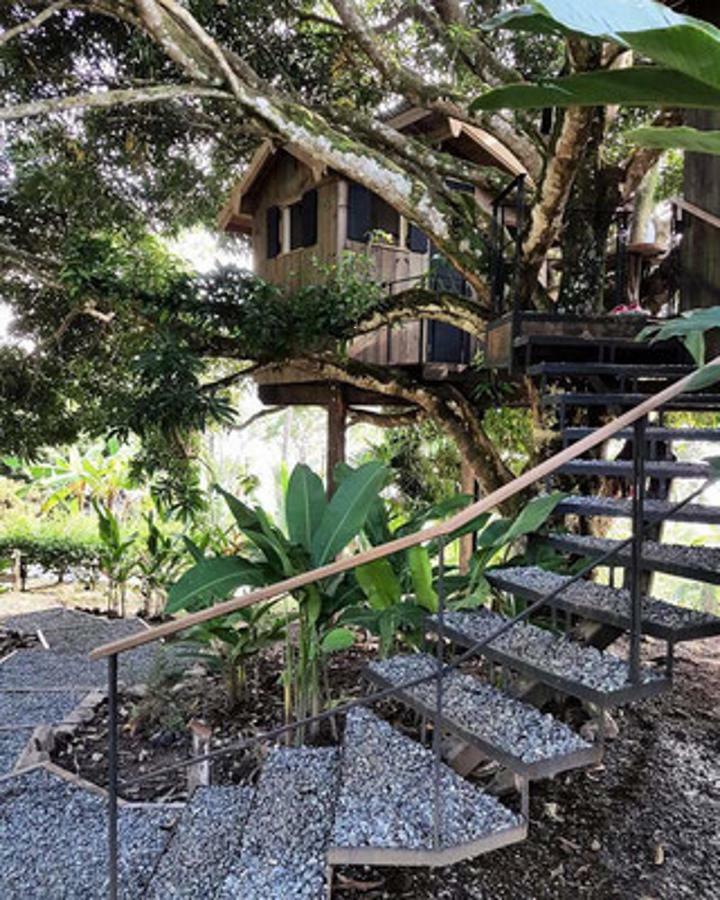 Finca Vela Lodge Bocas Town Oda fotoğraf